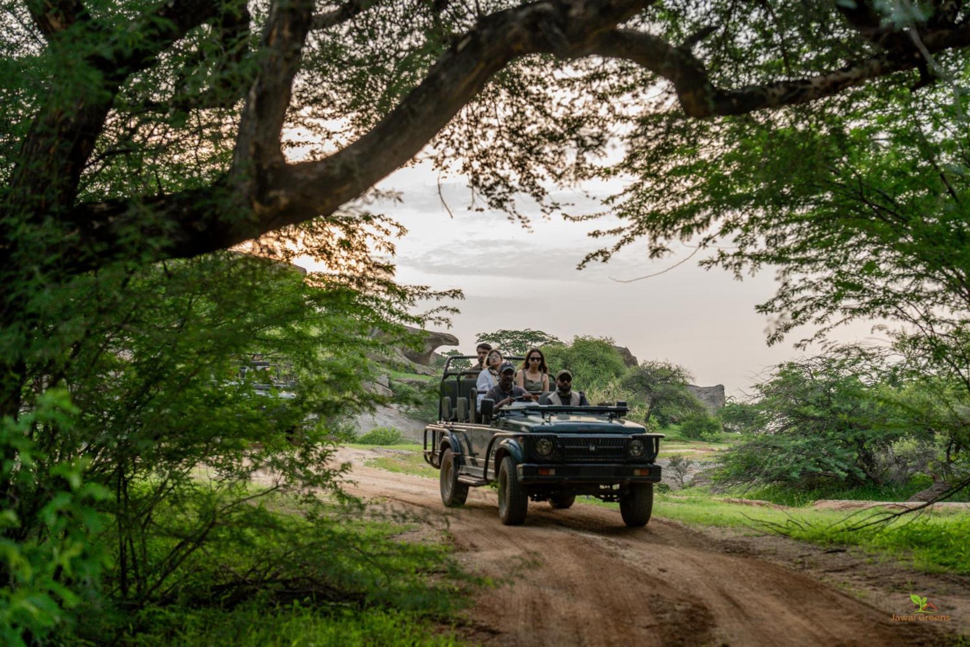 Jawai Greens Jawai Bandh Eksteriør billede